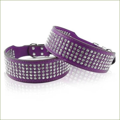 Purple / XS