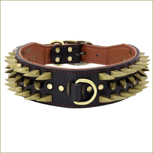 Collier À Pointes Pour Molosses Noir / Xl