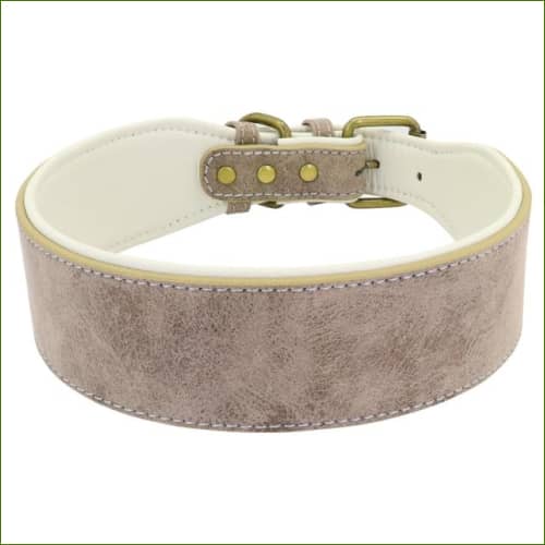 Collier en cuir pour gros chien MIDOG Gris / Xl