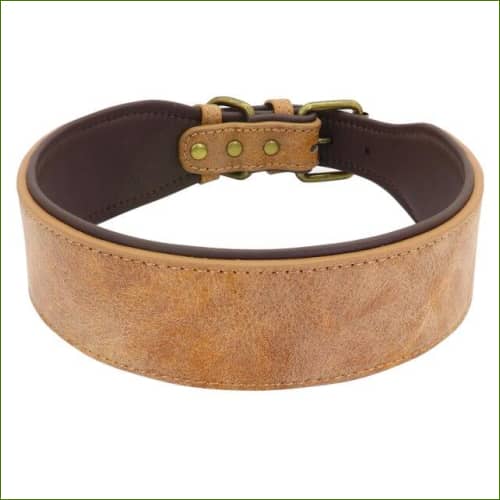 Collier Marron / Xl