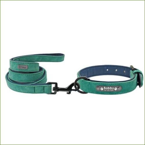 Ensemble Collier et laisse en cuir MIDOG Vert / 2Xl