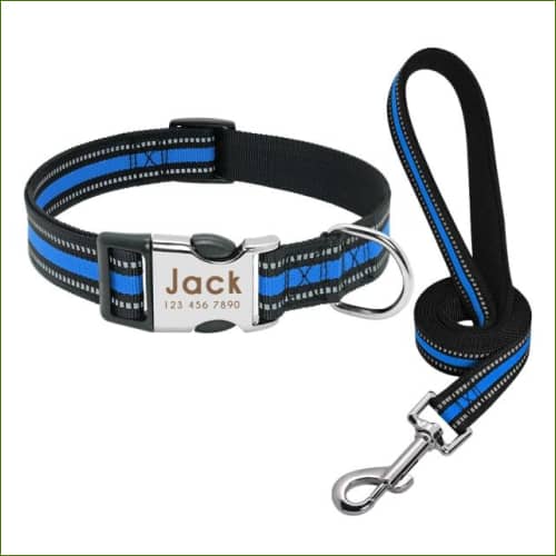 Collier Fluo Gravé Bleu Avec Laisse / L