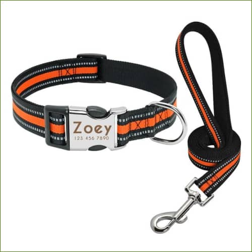 Collier Fluo Gravé Orange Avec Laisse / L