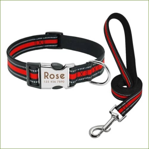 Collier Fluo Gravé Rouge Avec Laisse / L