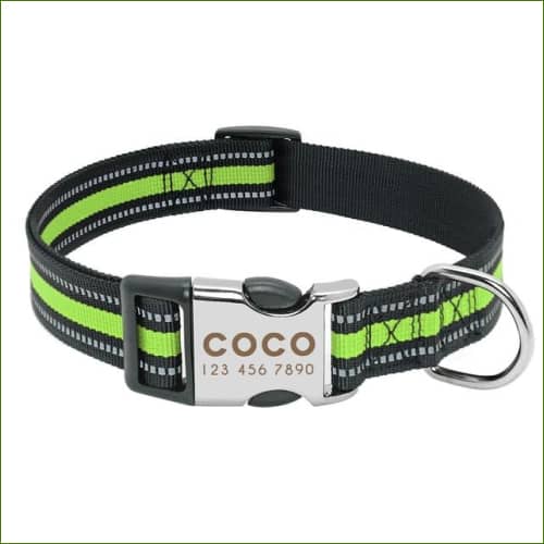 Collier Fluo Gravé Vert / L