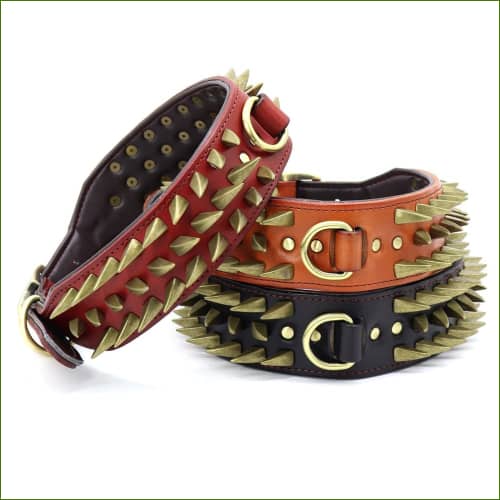 Collier Pour molosse Haut De Gamme En Cuir Avec Pointes 3 coloris