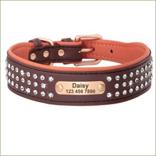 Collier gravé canin