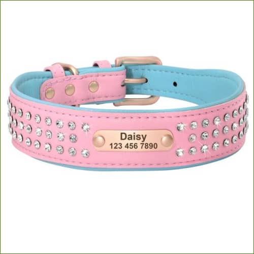 Collier avec gravure pour chiens Rose / Xl