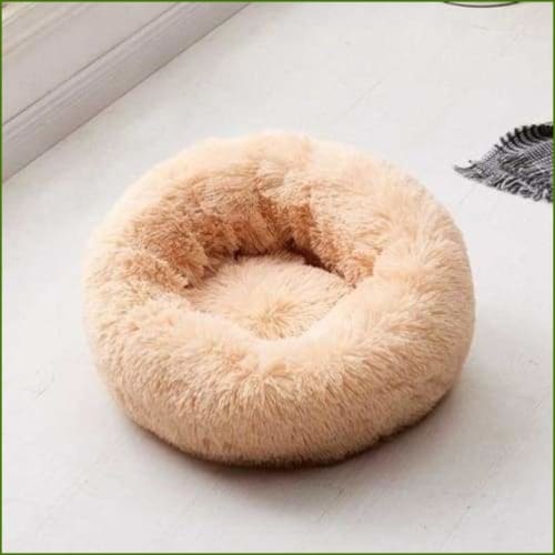 saumon / 50 cm