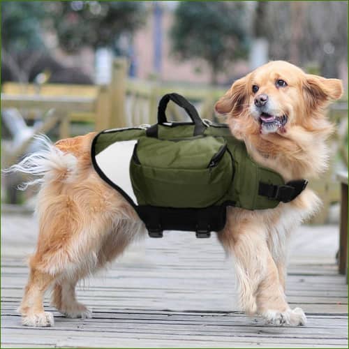 Harnais pour chien avec poches de rangement