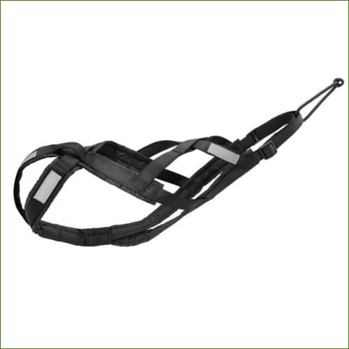 Harnais Canicross Pour Chien De Moyenne Ou Grande Taille Imperméable Et Réfléchissant Noir / M