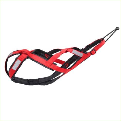 Harnais Canicross Pour Chien De Moyenne Ou Grande Taille Imperméable Et Réfléchissant Rouge / L