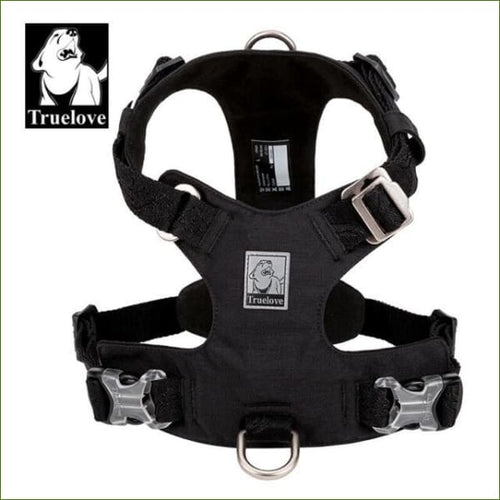 Harnais de dressage avec attache avant