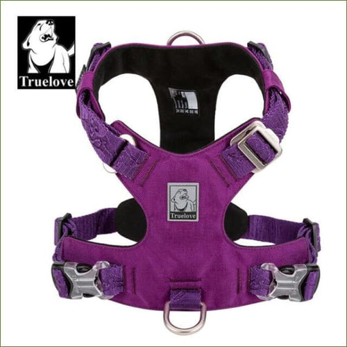 harnais canin solide et durable