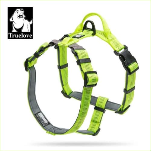 harnais rembourré jaune / L 69-81cm