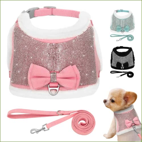 Harnais canin Strass