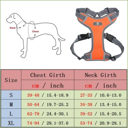 guide des tailless