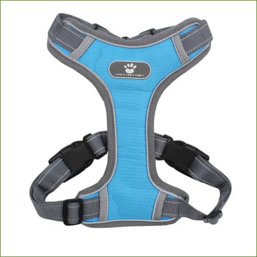 Harnais Bleu Clair / M