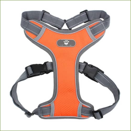harnais Orange / M