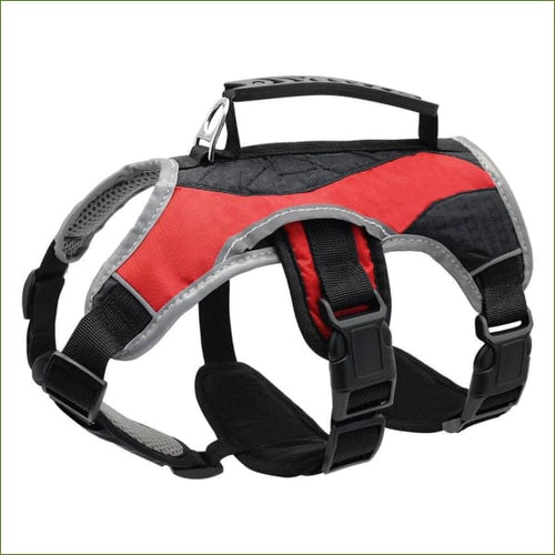 Harnais haut de gamme MIDOG pour labrador vue de coté