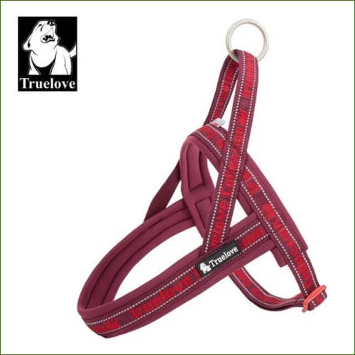 Harnais pour animaux domestiques Bordeau / L