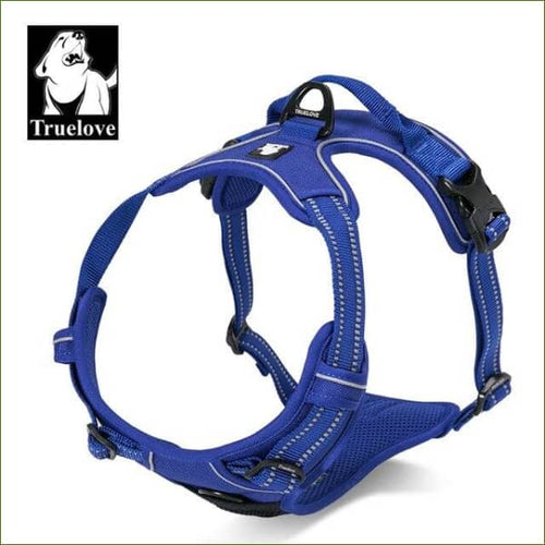 Harnais beagle BLEU ROYAL / XL