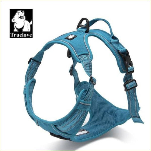 Harnais beagle BLEU / XL