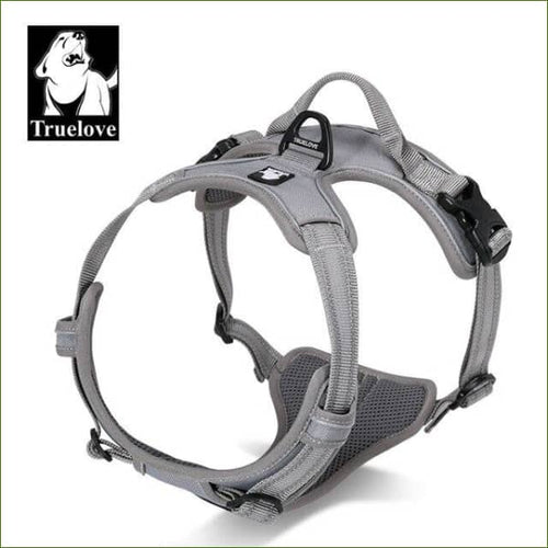 Harnais beagle GRIS / XL