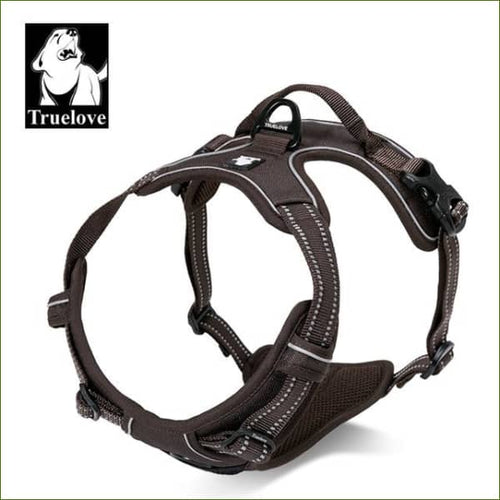 Harnais beagle MARRON / XL