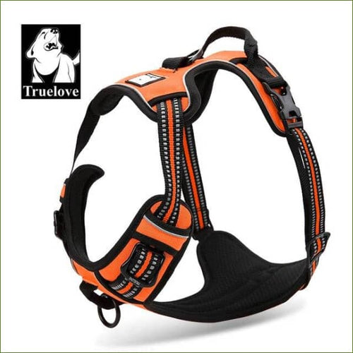 Harnais beagle ORANGE / XS
