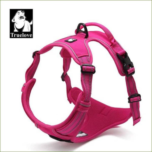 Harnais beagle ROSE / XL