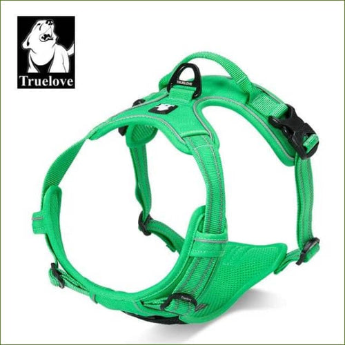 Harnais beagle VERT / XL