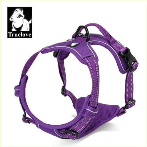 Harnais beagle VIOLET / XL