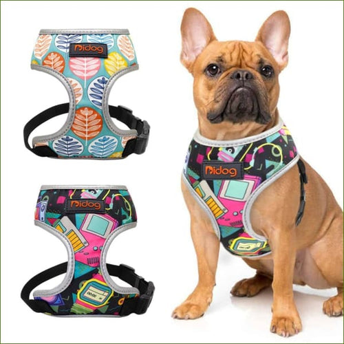 Harnais pour petit chien