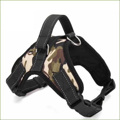 Camouflage / L