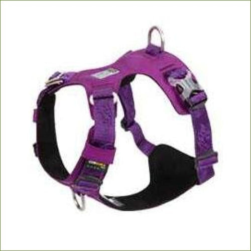 Violet / XS 33-43cm