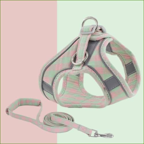 Rose-Vert / Xs