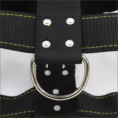 Harnais pour pitbull - harnais de traction et anti traction robuste en nylon - détail des attaches de laisse
