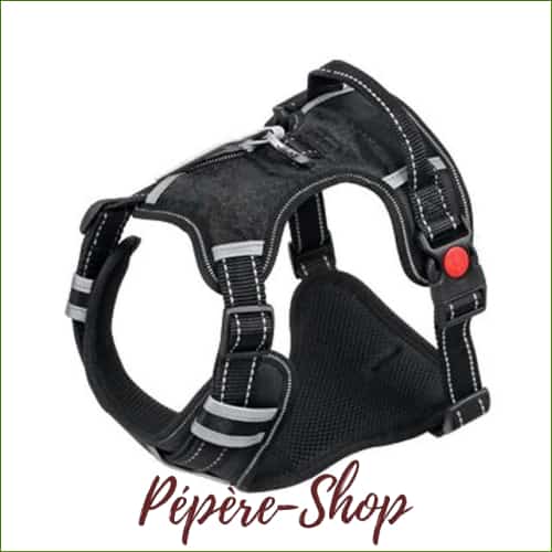 Harnais pour staffie - en nylon réfléchissant avec poignée - Black / L (Chest 53-94cm)-PEPERE SHOP