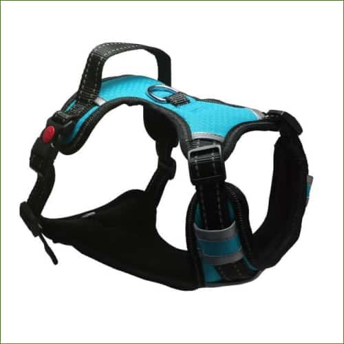 Harnais pour staffie - en nylon réfléchissant avec poignée - Blue / XL (Chest 60-118cm)-PEPERE SHOP