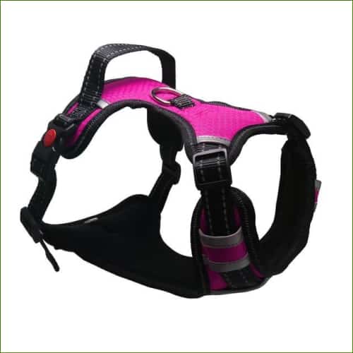 Harnais pour staffie - en nylon réfléchissant avec poignée - Purple / XL (Chest 60-118cm)-PEPERE SHOP