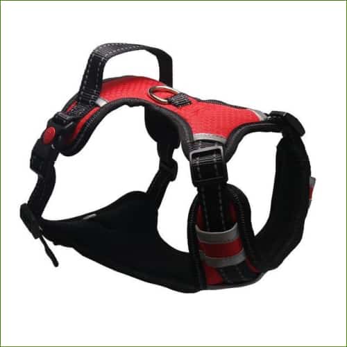 Harnais pour staffie - en nylon réfléchissant avec poignée - Red / L (Chest 53-94cm)-PEPERE SHOP