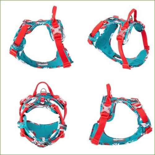 Harnais de dressage Truelove country