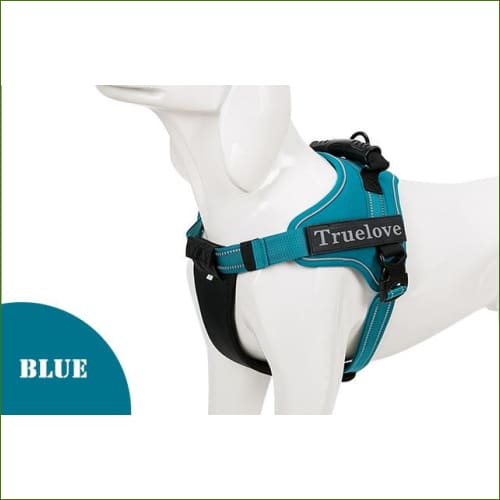 Bleu / L 63-85 CM