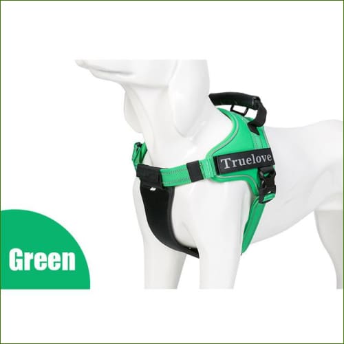 Vert / XXL 82-115CM