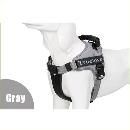 Gris / L 63-85 CM
