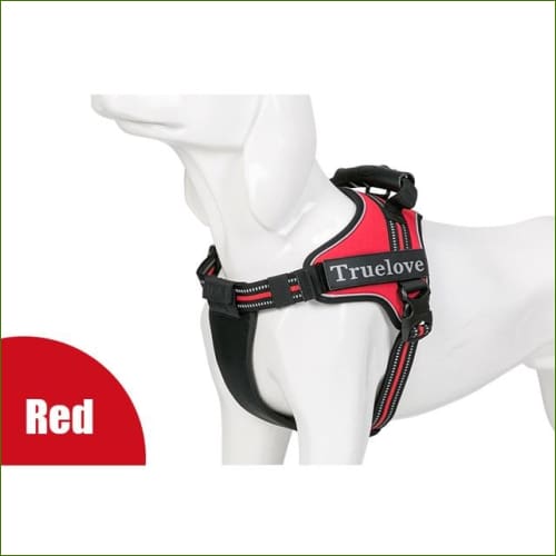 Rouge / S 49-67CM