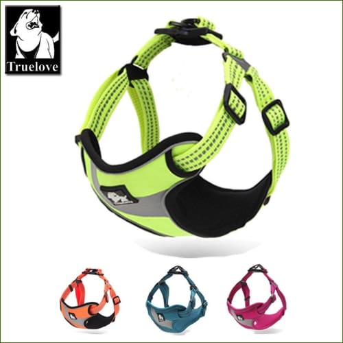 harnais pour animal de compagnie