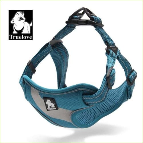 Harnais canin Bleu / L-55-92cm