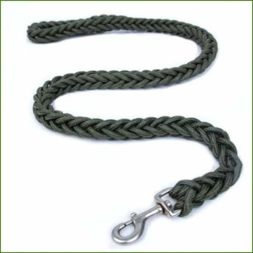 Laisse en nylon pour chien puissant - Green / Dia. 1.5cm-PEPERE SHOP